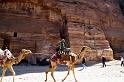 87 Cammelliere a Petra